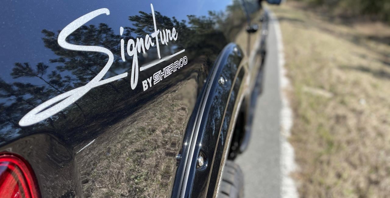 Ford 150 Signature Edition 13